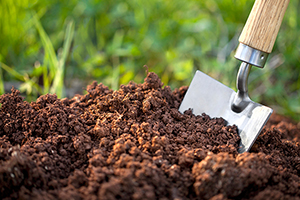 Soil Conditioning